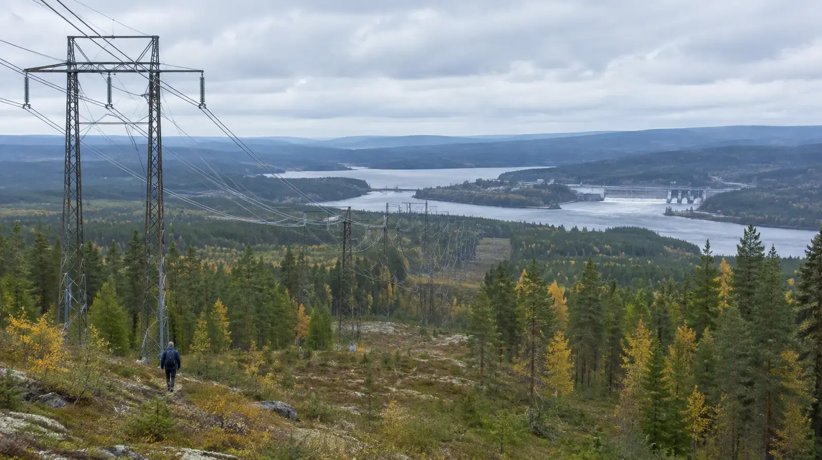 Kraftledningar på höga stolpar genom skogslandskap i Norrland, med en älvdal i bakgrunden.